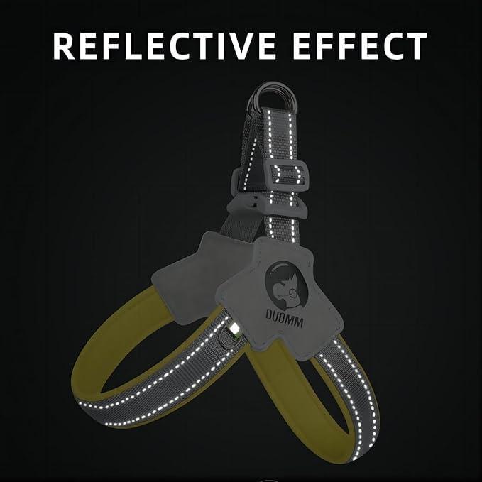 Reflective No-Pull Harness + Leash Set (Adjustable)
