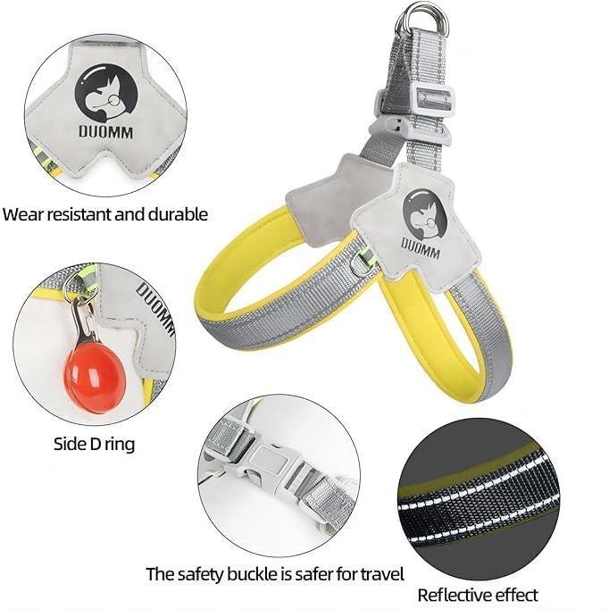 Reflective No-Pull Harness + Leash Set (Adjustable)