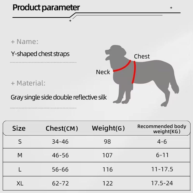 Reflective No-Pull Harness + Leash Set (Adjustable)