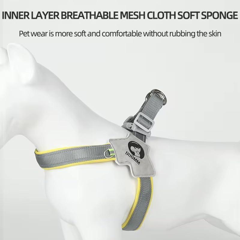 Reflective No-Pull Harness + Leash Set (Adjustable)