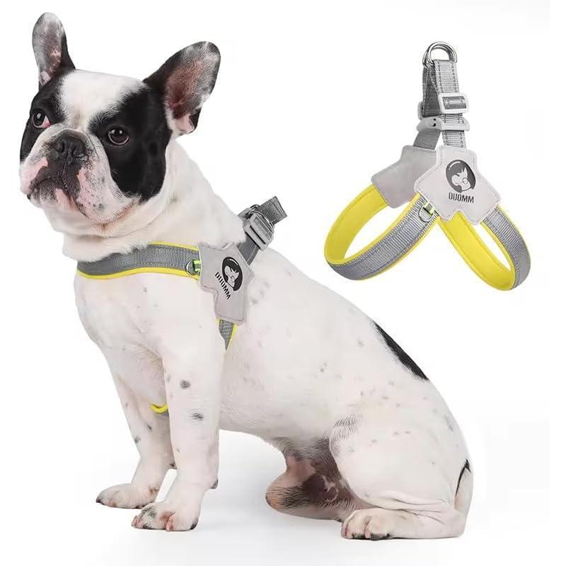 Reflective No-Pull Harness + Leash Set (Adjustable)