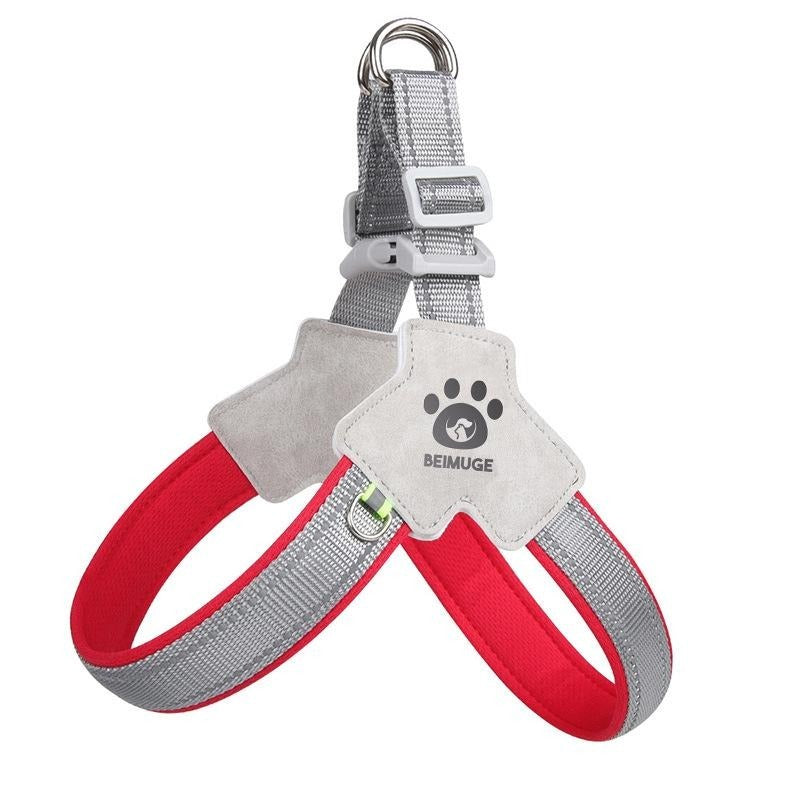 Reflective No-Pull Harness + Leash Set (Adjustable)